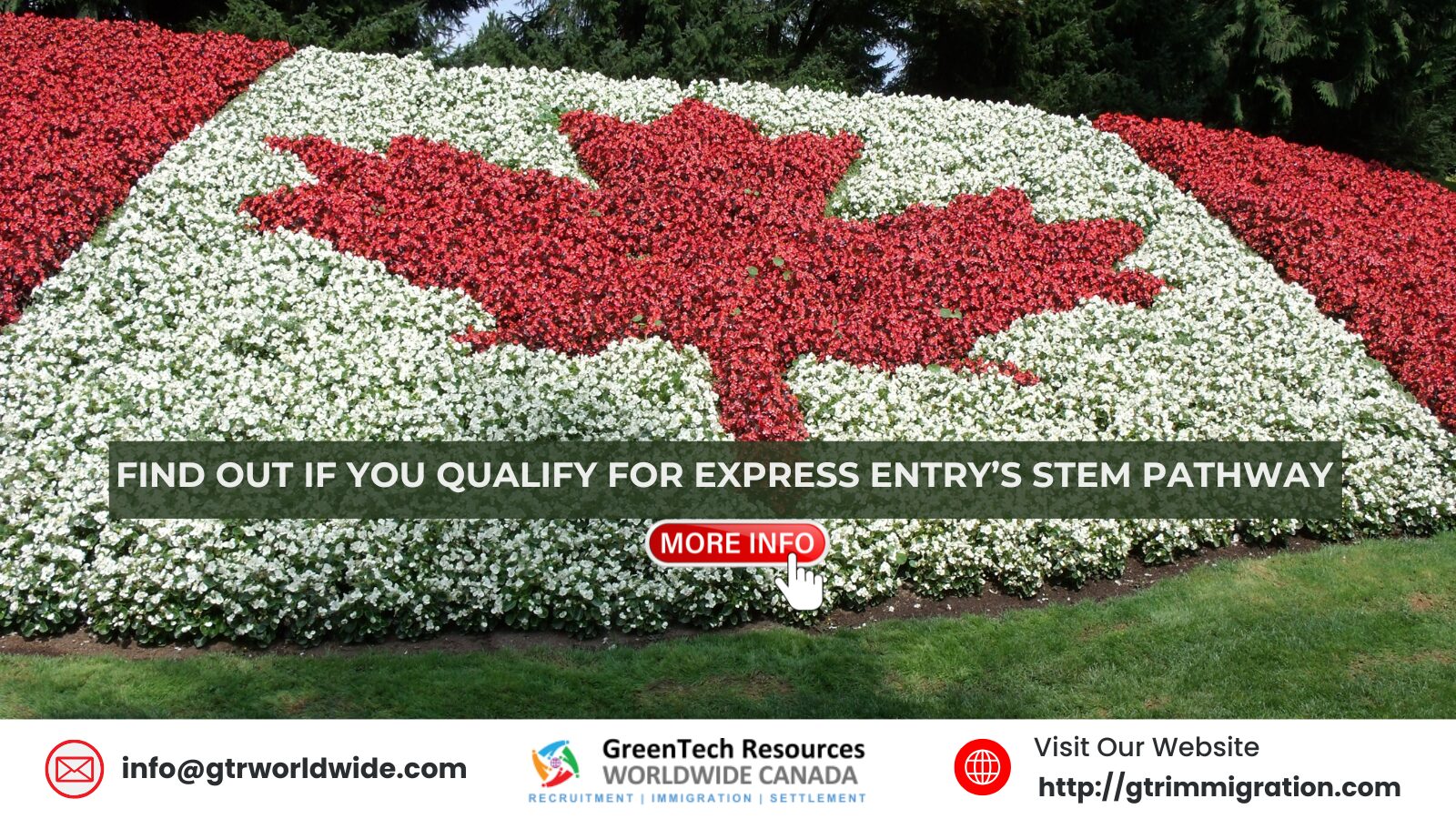 Find Out If You Qualify for Express Entry’s STEM Pathway